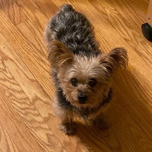 Meet your Posher, Chris